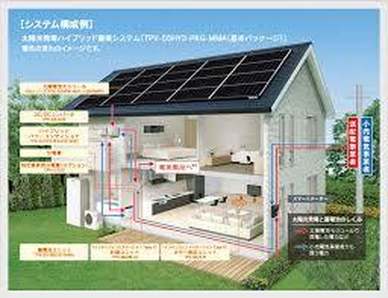 画像3702