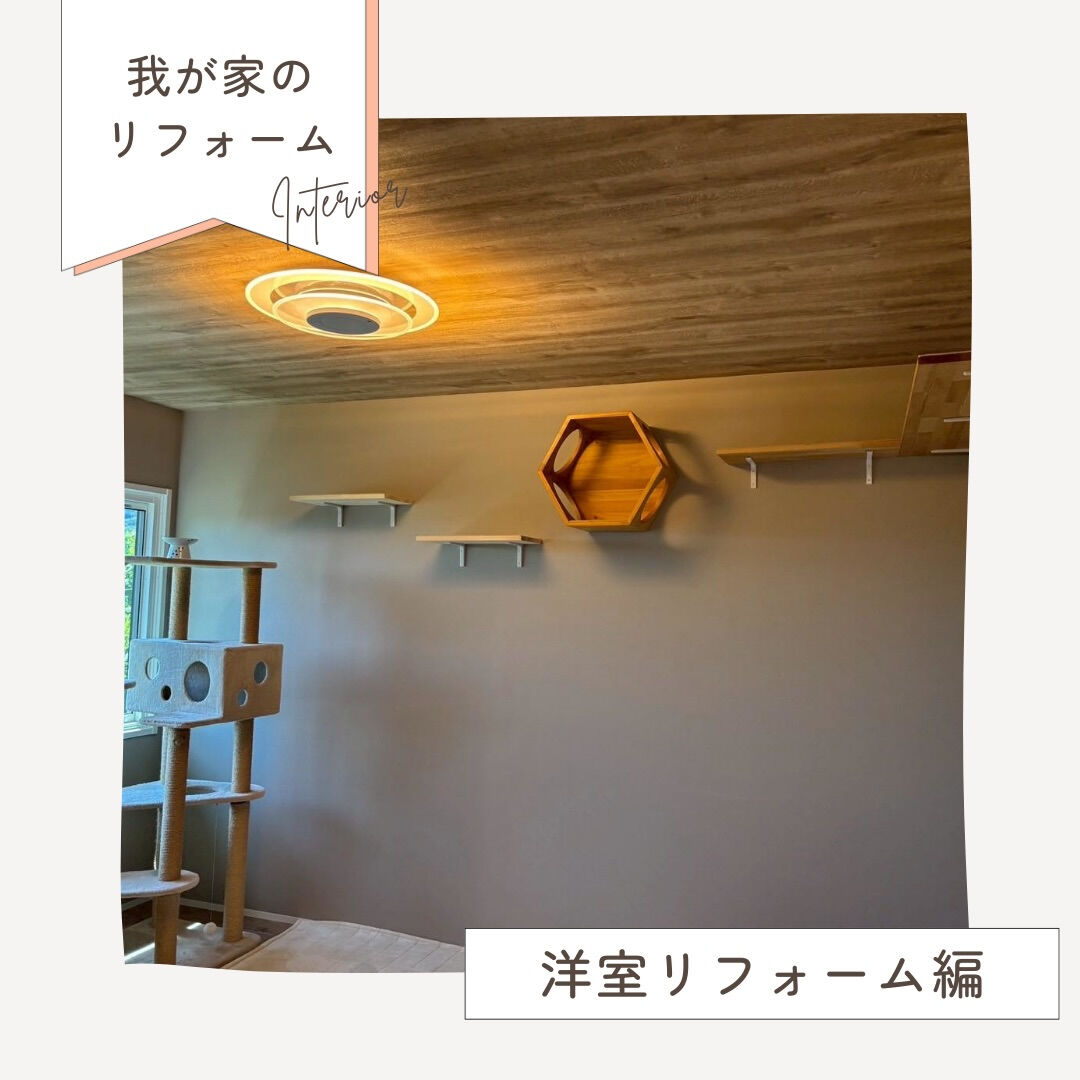 ペットと暮らしやすい家へ🐈