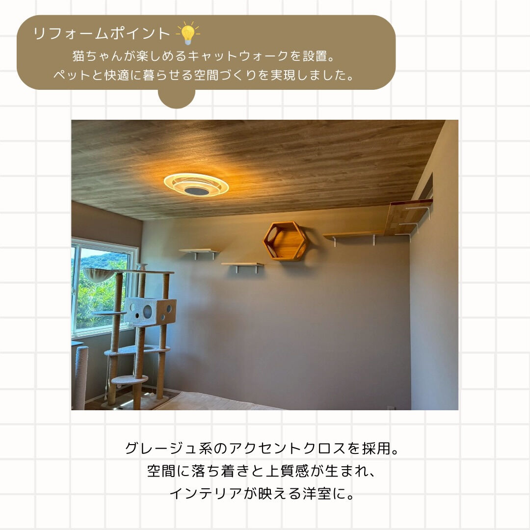 ペットと暮らしやすい家へ🐈