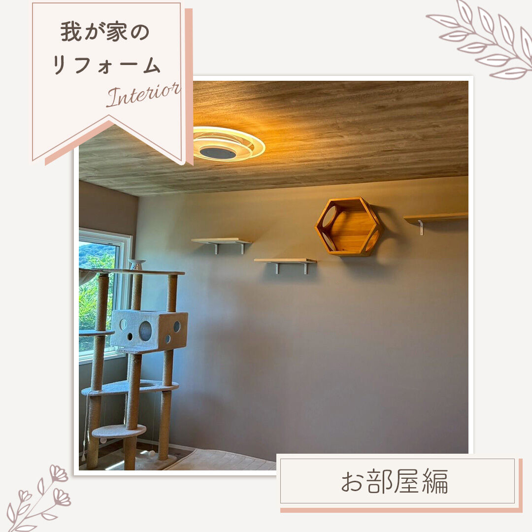 【施工事例｜猫ちゃんと暮らすお部屋づくり】