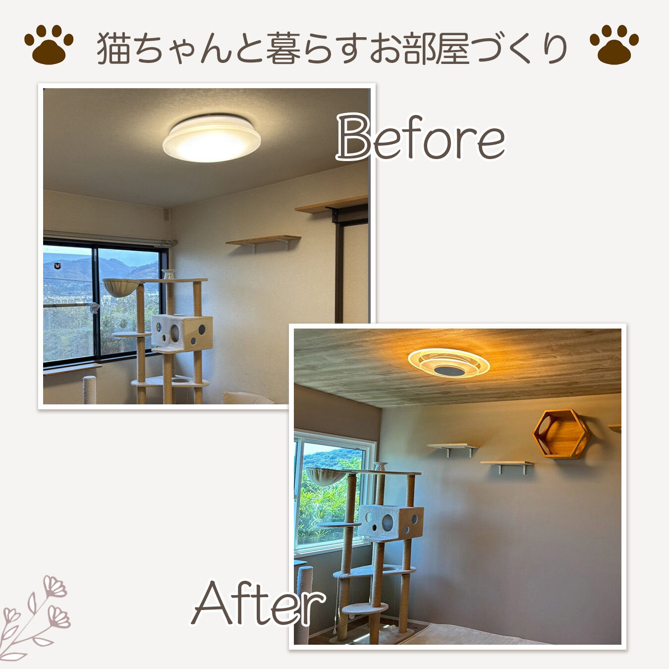 【施工事例｜猫ちゃんと暮らすお部屋づくり】