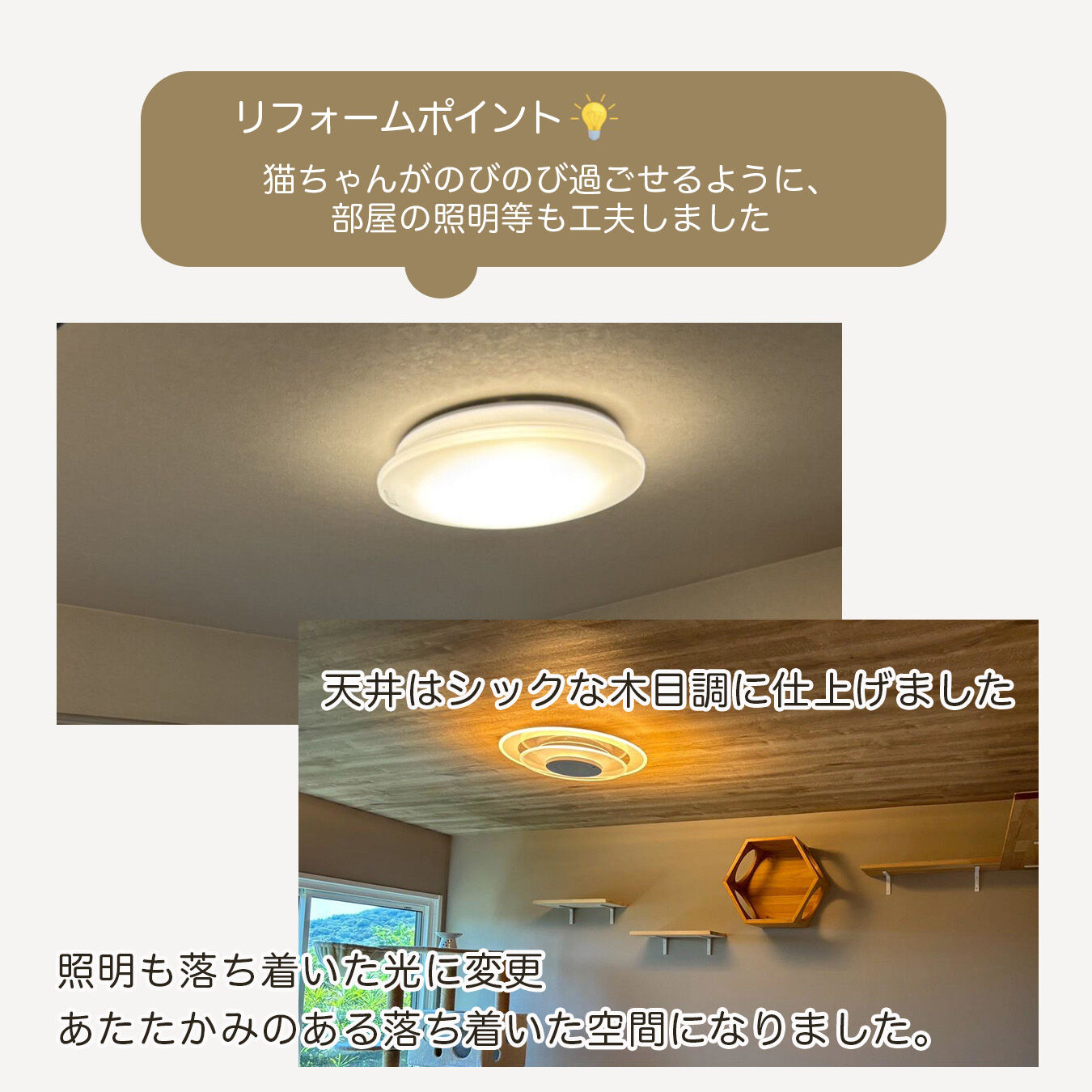 【施工事例｜猫ちゃんと暮らすお部屋づくり】