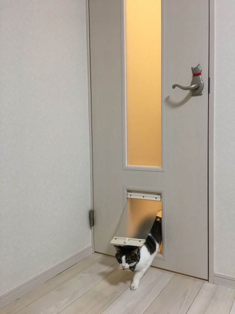 画像7367
